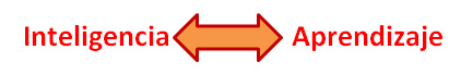 seq0401bbidi