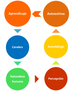 esqu-conten reiníciate